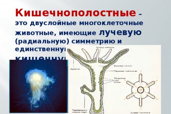 Кракен работает